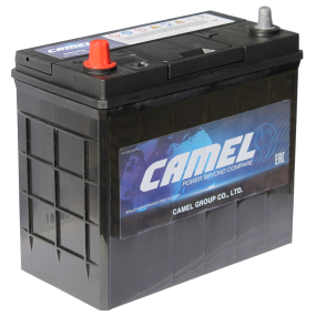 Аккумулятор CAMEL Asia 65B24RS 12V 48Ah рус. (тонкие клеммы)